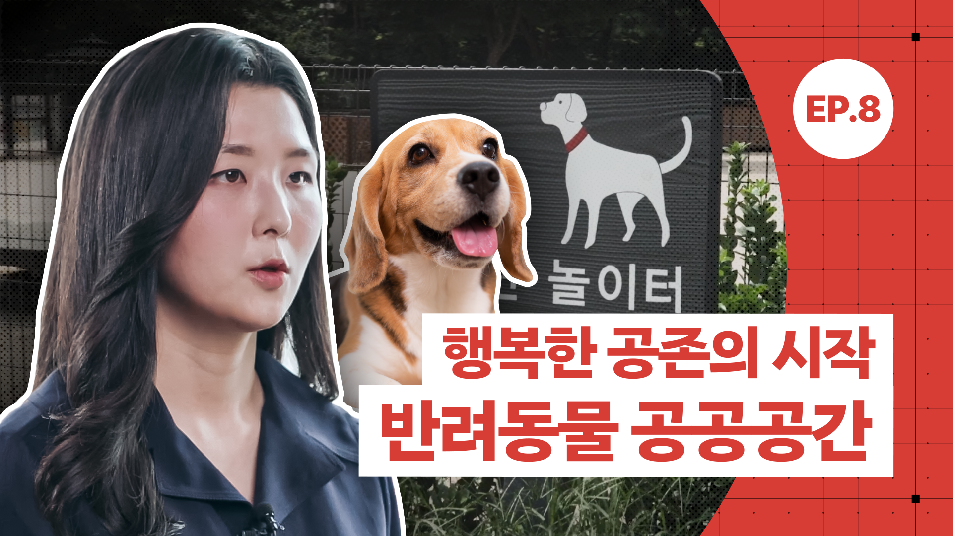 [공간공감] 우리집 댕댕이 어디서 마음껏 뛰어놀 수 있을까?